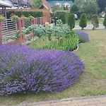 Bed and Breakfast Frajda