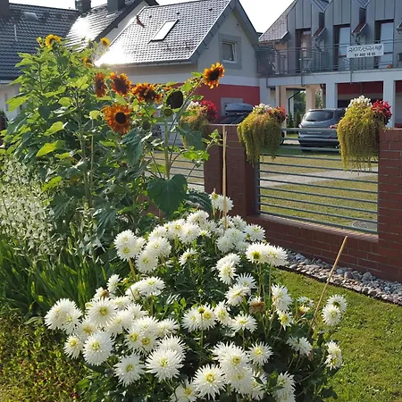 Frajda